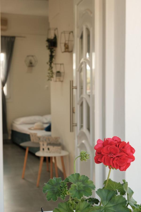 Appartamento Pyrgi House, Corfu Ipsos